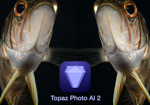 图像智能增强Topaz Photo AI 锐化、降噪、无损放大软件（Win&Mac）-SODOS官网