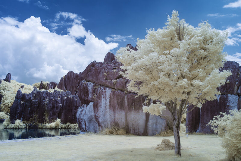 吃不透红外摄影后期?本视频就够了-SODOS官网