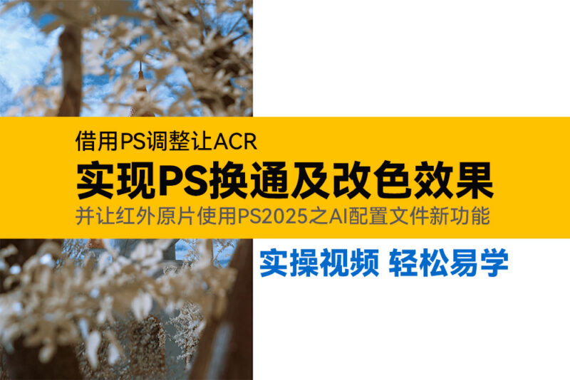 移花接木,ACR调用PS调整随意换通调色并调用PS2025之AI配置文件新功能-SODOS官网
