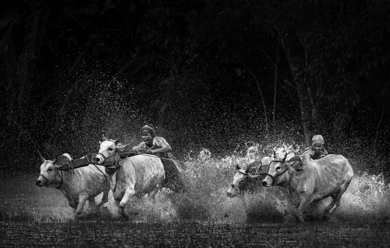 720nm、780nm与850nm红外滤镜：黑白摄影效果对比指南-SODOS官网