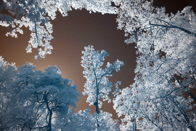 红外风光十条建议-SODOS官网