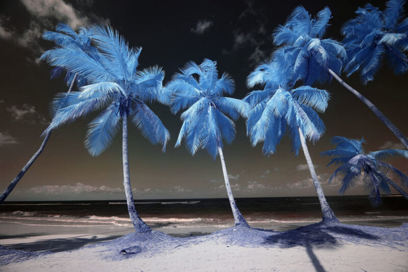 简单三步 制作引人注目的黑白红外影像-SODOS官网