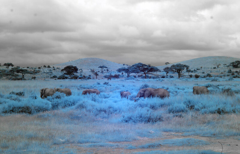 红外相机感光元件如何清洁？-SODOS官网