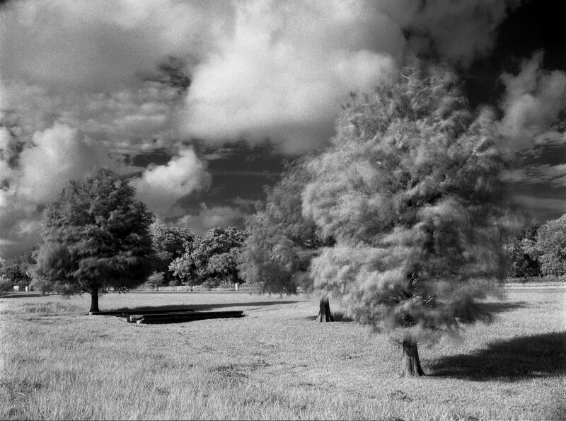 红外胶片的拍摄指南-SODOS官网